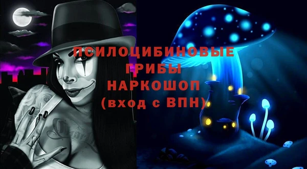 герыч Мегион