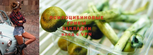 герыч Мегион