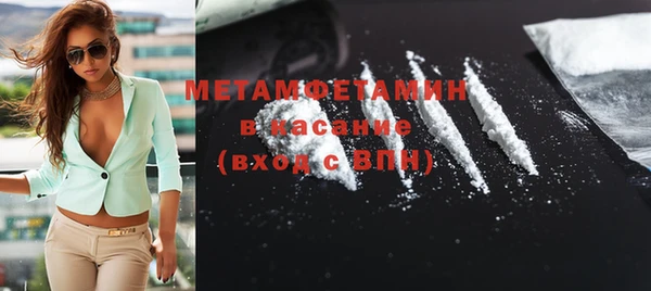 прущие грибы Медногорск