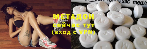 прущие грибы Медногорск