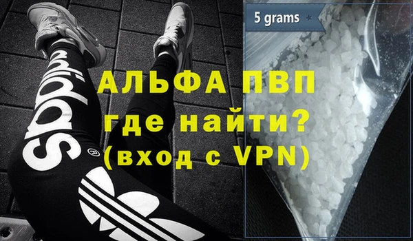 прущие грибы Медногорск