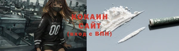 прущие грибы Медногорск