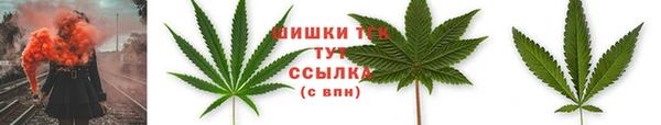 герыч Мегион