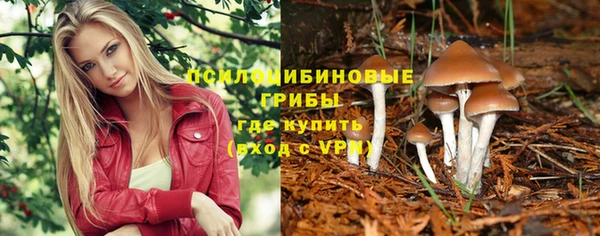 прущие грибы Медногорск