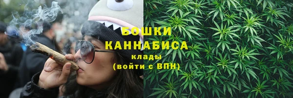 прущие грибы Медногорск