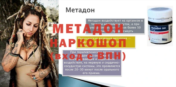 прущие грибы Медногорск