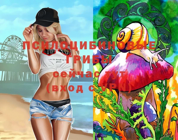 герыч Мегион