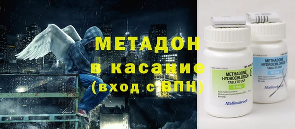 прущие грибы Медногорск