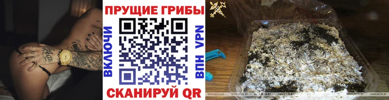 хочу   Разумное  omg рабочий сайт  Галлюциногенные грибы Cubensis 